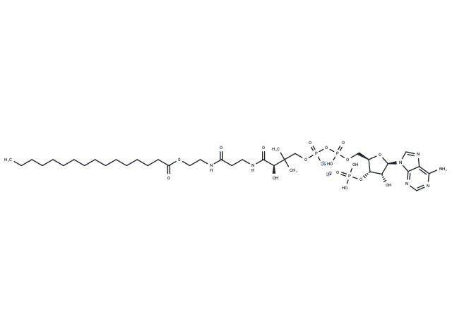 Palmitoyl coenzyme A lithium