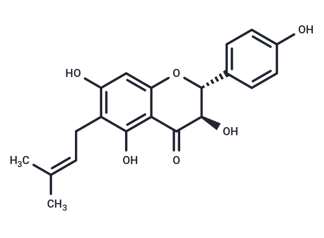 Shuterin