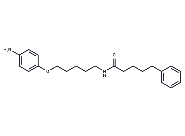 Valeramide, N-(5-(p-aminophenoxy)pentyl)-5-phenyl-