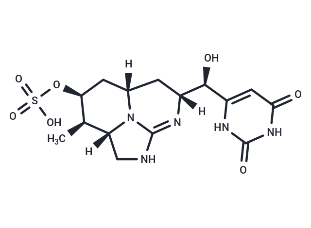 Cylindrospermopsin