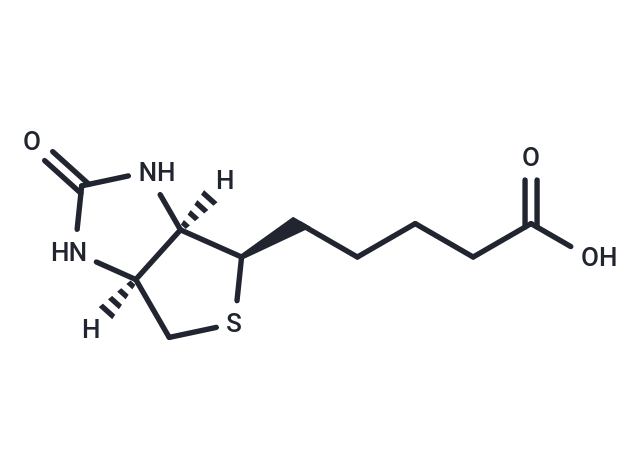 L-Biotin