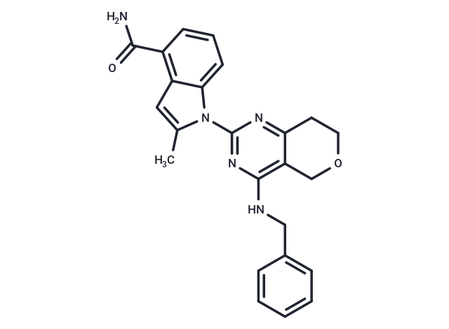 CB-5083