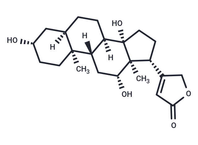 Digoxigenin