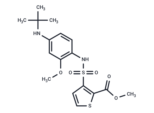 PT-S58