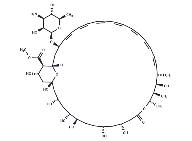 Amphotericin B methyl ester