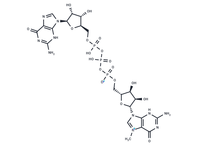 7-Methyl-diguanosine triphosphate