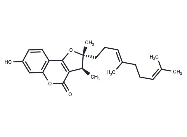 DAW-22