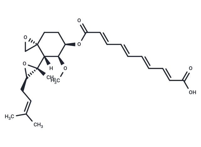 Fumagillin