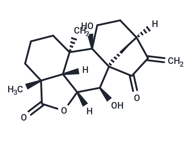 ent-7alpha,9-Dihydroxy-15-oxokaur-16-en-19,6bet-olide