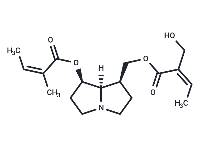 Sarracine