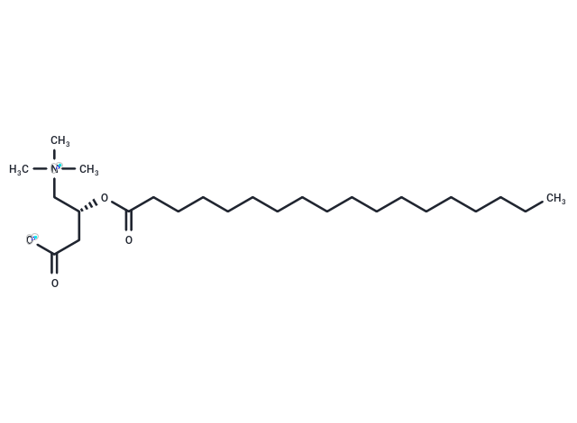 Stearoylcarnitine