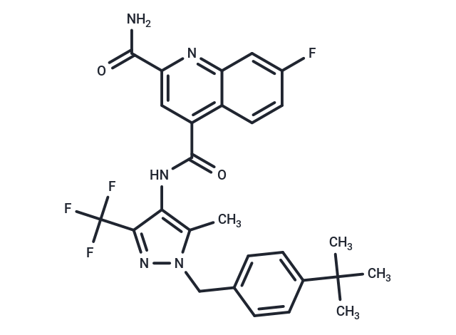 BAY-588