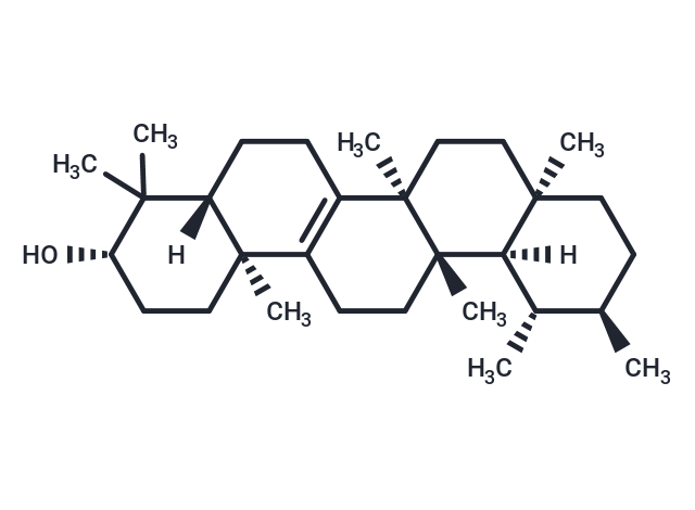 Isobauerenol