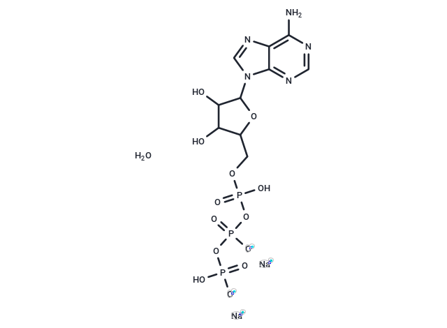 ATP disodium salt hydrate