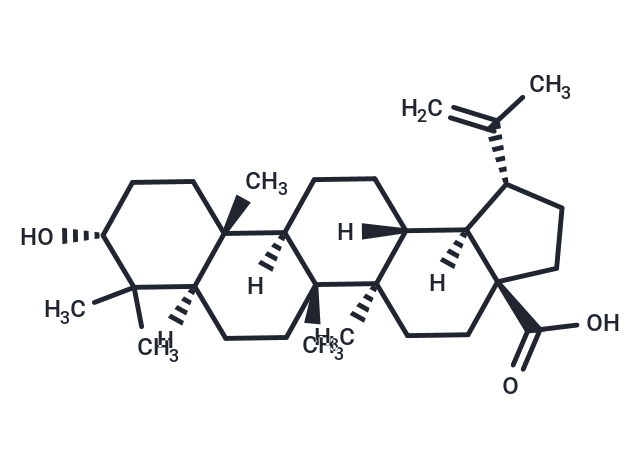 Epibetulinic acid
