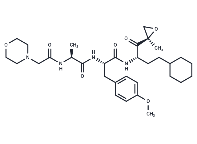 Proteasome β2c/i-IN-1