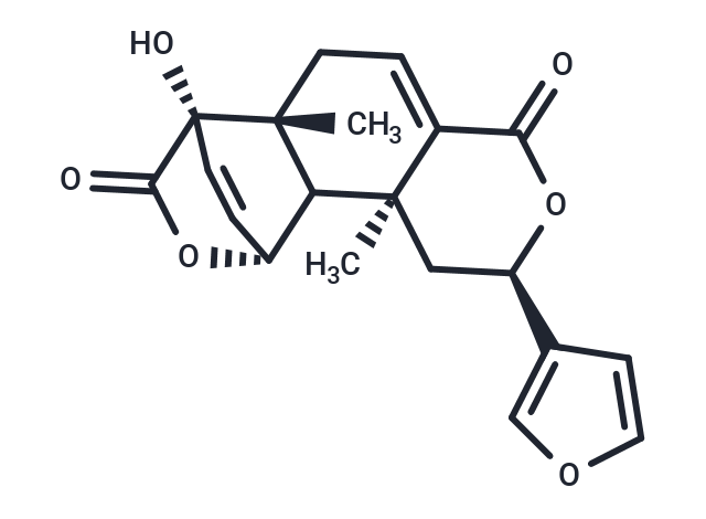 Fibleucin