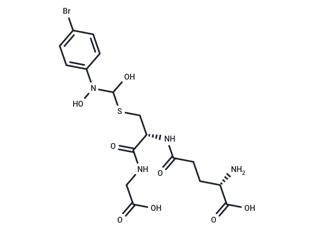 HBPC–GSH