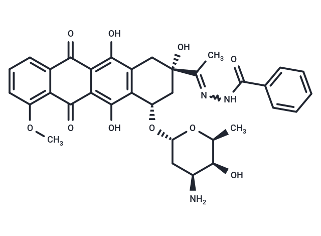 Zorubicin