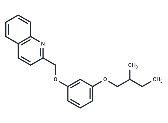 GPBAR1-IN-3