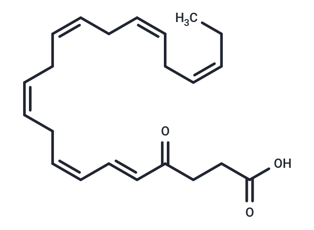 4-oxo Docosahexaenoic Acid