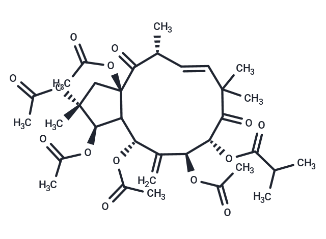 2,3,5,7,8,15-Hexahydroxy-6(17),11-jatrophadiene-9,