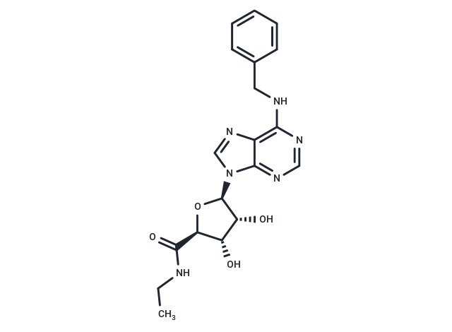 N6-Benzyl-5'-ethylcarboxamido adenosine