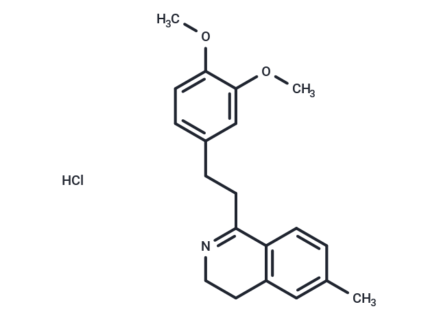 PF 10040