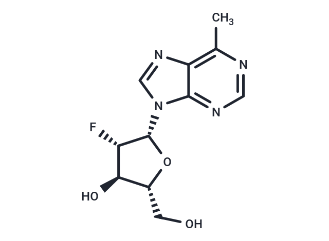 6-Methylpurine-2'-deoxy-2'-fluoro-beta-D-arabinoriboside