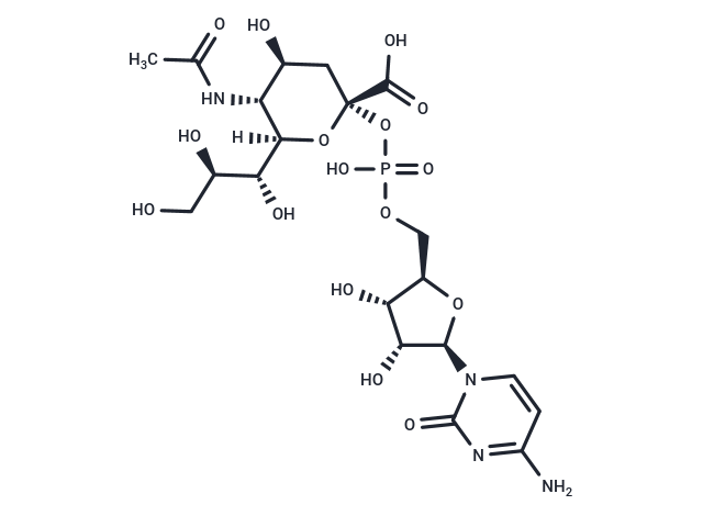 CMP-Sialic acid