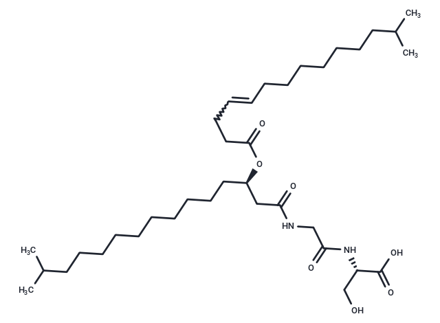 WB 3559 A