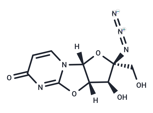 Nucleoside-Analog-1