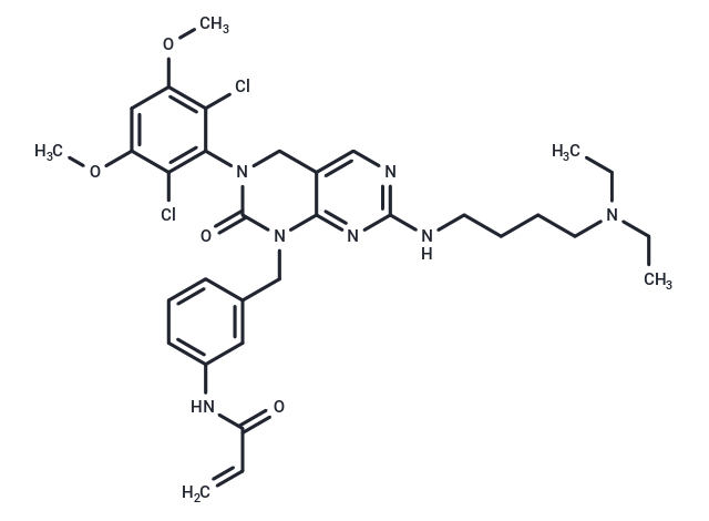 FIIN-1