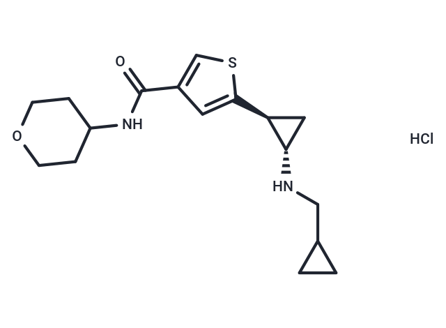 Anticonvulsant agent 10 HCl