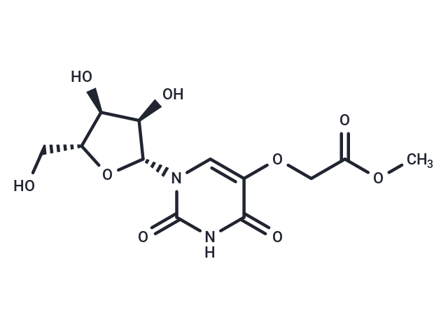 Uridine   5-oxyacetic acid methyl ester