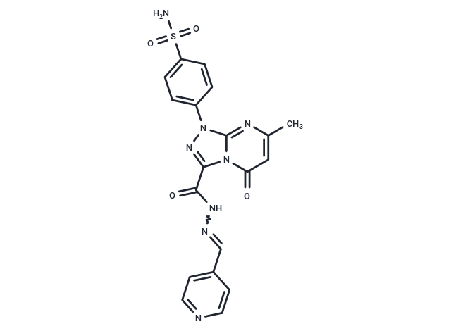 HCAIX-IN-2