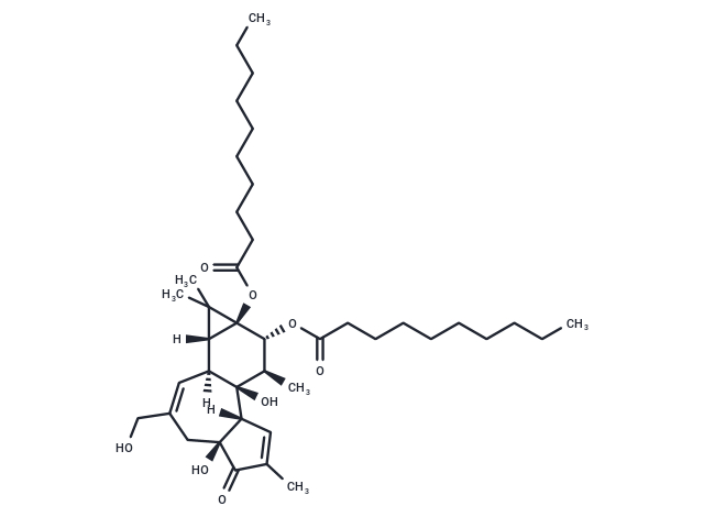 4alpha-PDD