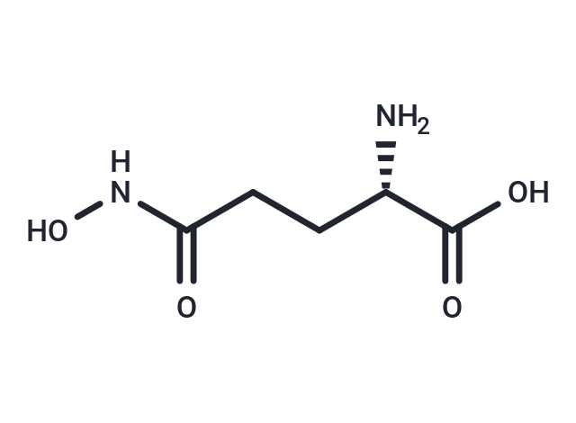 L-Glutamic γ-monohydroxamate