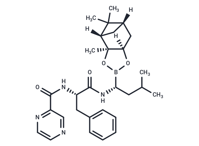 Bortezomib-pinanediol