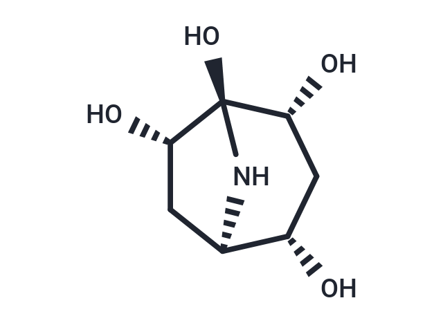 Calystegine B5