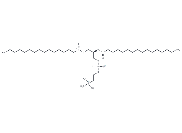 1,2-Dipalmitoyl-13C-sn-glycero-3-PC