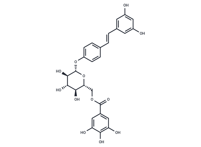 Resveratrol 4'-(6-galloylglucoside)