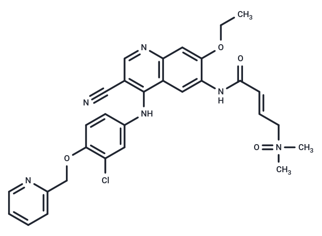 Neratinib dimethylamine N-oxide