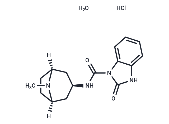 Itasetron hydrochloride monohydrate