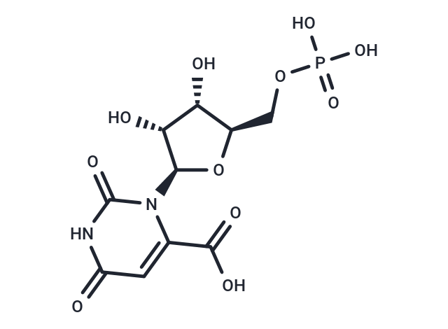 Orotidine 5′-monophosphate
