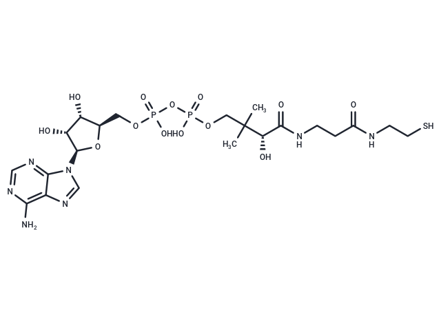 3'-Dephosphocoenzyme A