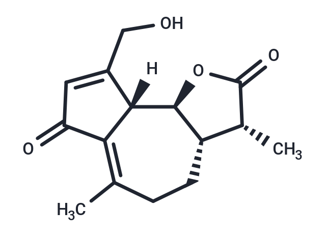 Jacquinelin