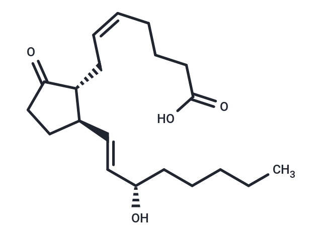 11-deoxy Prostaglandin E2