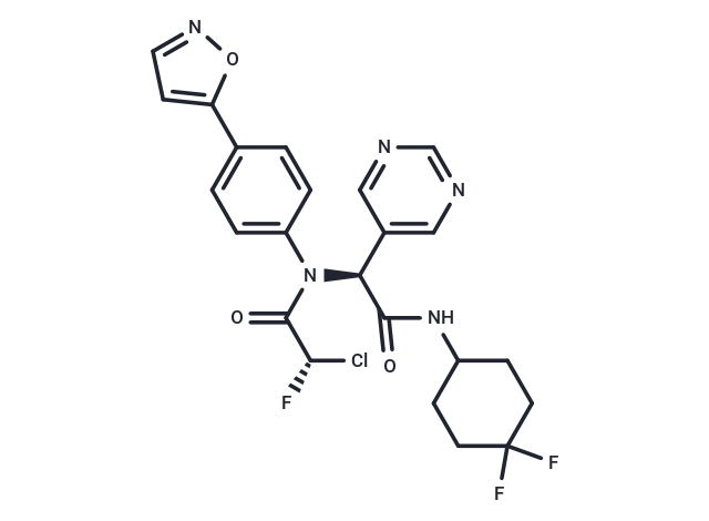 INSCoV-614(1B)