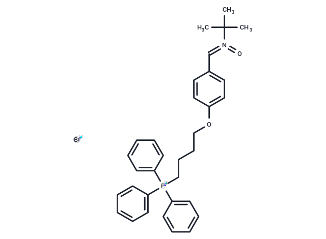 MitoPBN